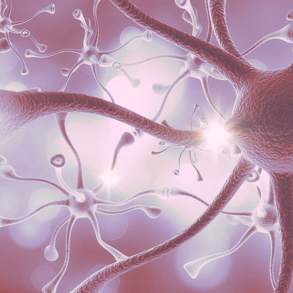 Neuroplasticity: Rewiring Your Mind